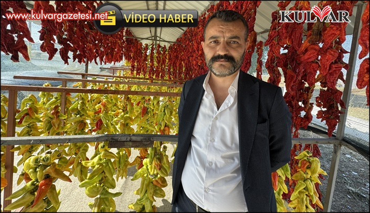 Tescilli lezzet Kale biberinin sofralara yolculuğu başladı