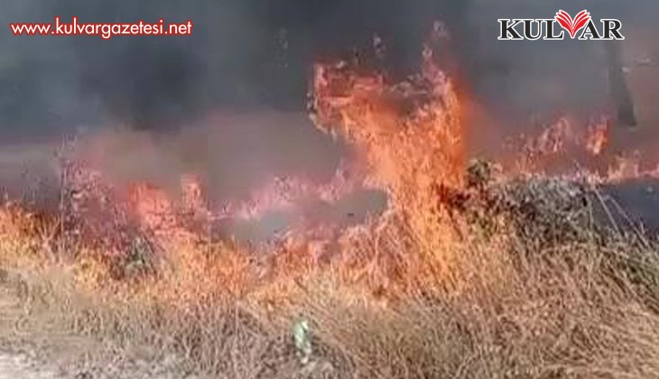 Tripolis'te örtü yangını korkuttu