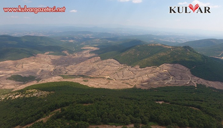 Türkiye Maden Ruhsatlarının Tehdidi Altında