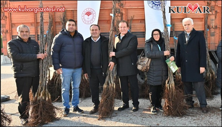 Türkiye’nin ceviz başkenti Denizli’de ceviz fidanı dağıtımı başladı
