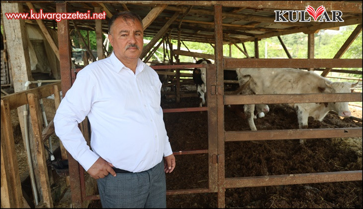 Üretimden kopamayan Başkan Pütün; "10 yıl sonra tarım üretimi yapacak kimse kalmayacak"