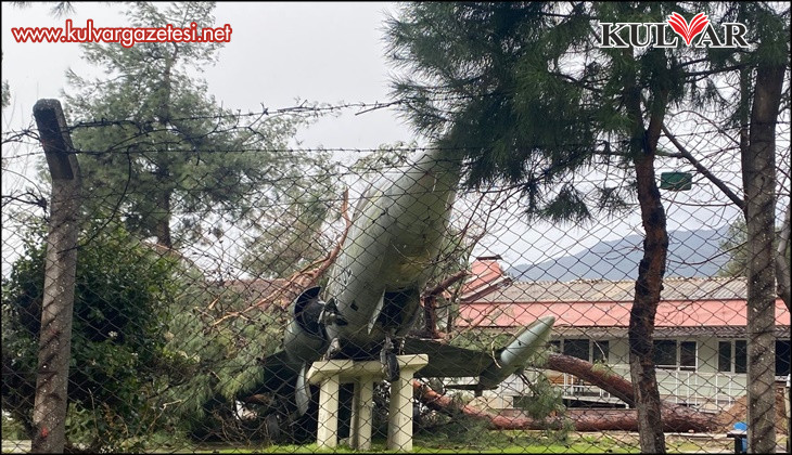 Üzerine ağaç düşen uçak zarar gördü