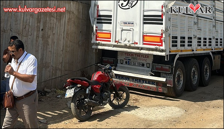 Üzüm yüklemeye geldi, yaşamını yitirdi