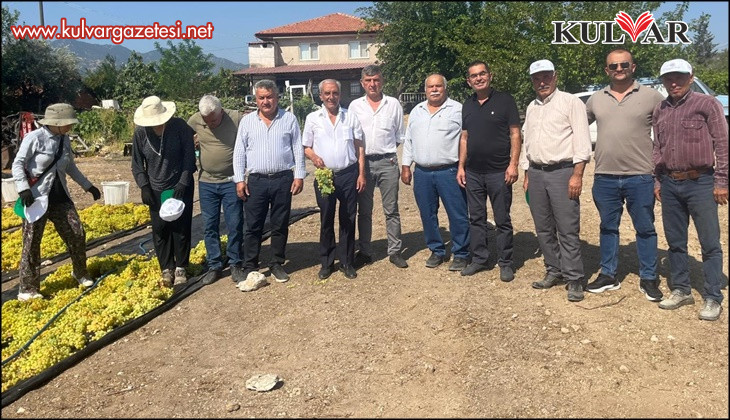 Üzümde fiyat belirsizliği hem üreticiyi hem de çalışanları tedirgin ediyor