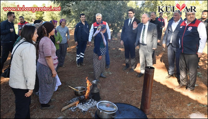 Vali Coşkun, Beyağaç'ta zeytin hasadına katıldı