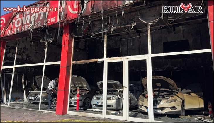 Yakalanan kundakçı suçunu itiraf etti