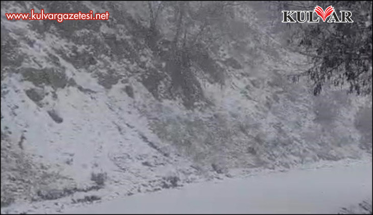 Yazın yanan orman sahası beyaza büründü