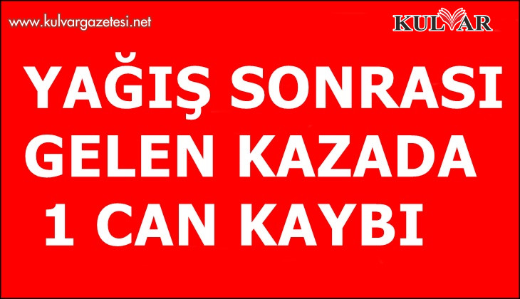 Yoldan çıkan otomobil şarampole devrildi; 1 ölü