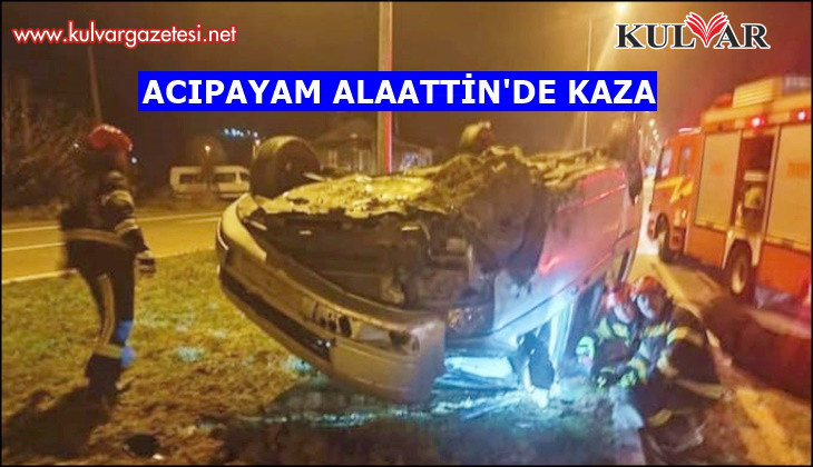 Yoldan çıkan otomobil ters döndü; 1 yaralı