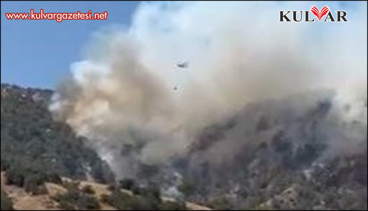 Yön değiştiren yangın Buldan’ı tehdit ediyor