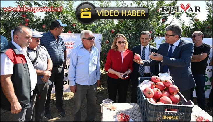 Zararlılarla mücadelede kullanılan akıllı böcekler gıda güvenliğini artırdı