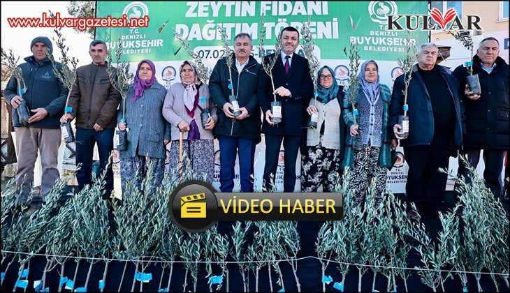 Zeytin fidanları toprakla buluşuyor, Denizli kazanıyor